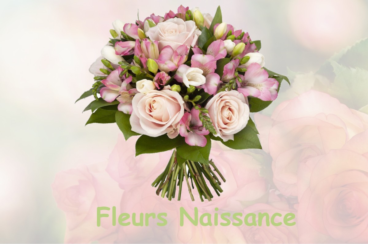 fleurs naissance BOUTIGNY-SUR-ESSONNE